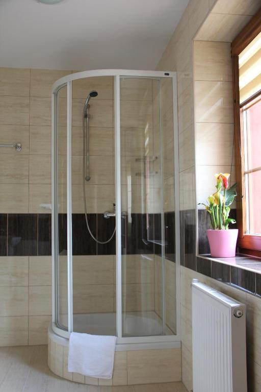 Apartamenty Pod Lwem Świdnica Habitación foto